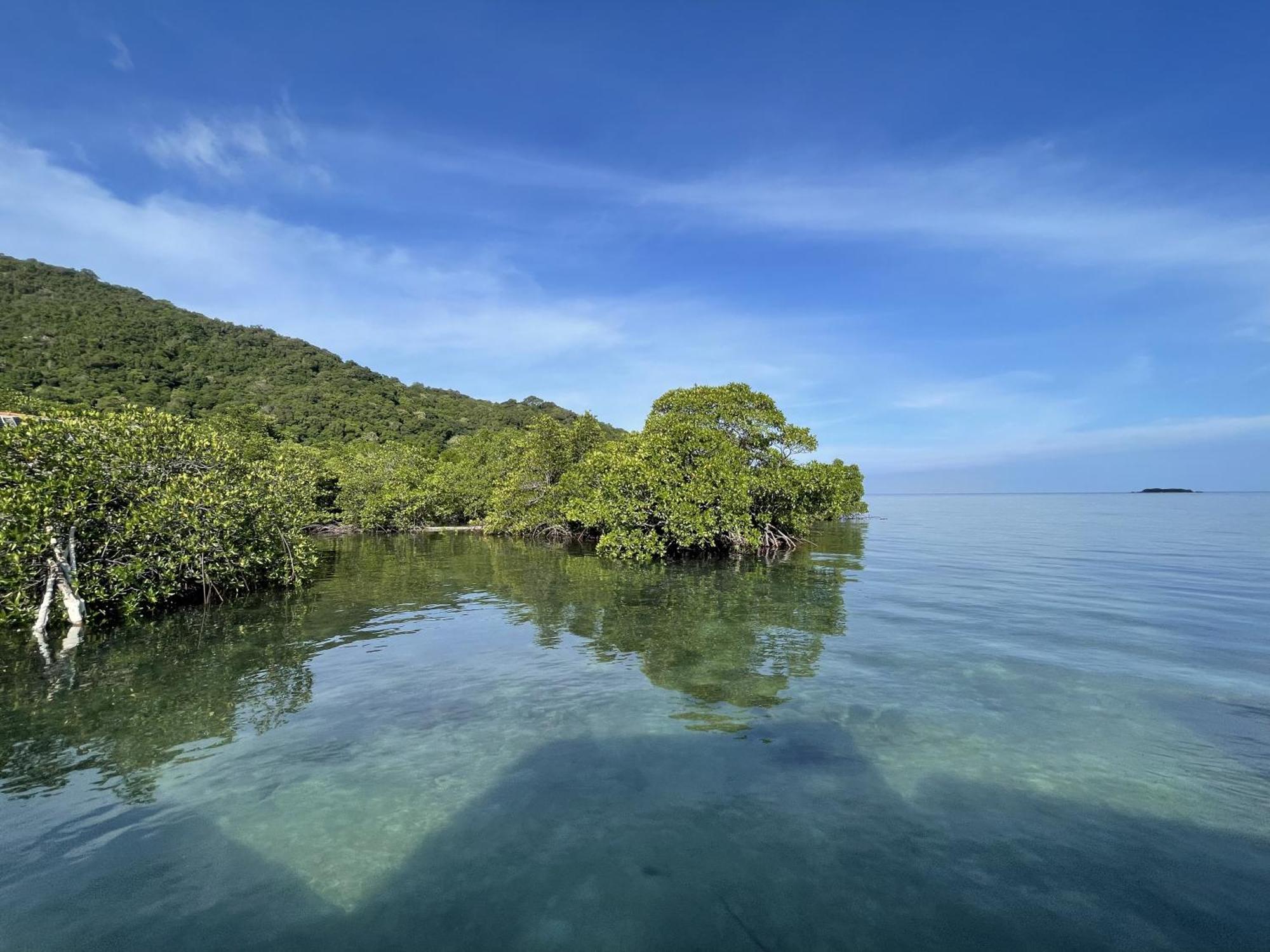 Floating Paradise Karimunjawa Luaran gambar
